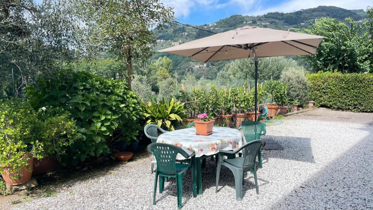 Tra Gli Olivi Appartement Lucca Buitenkant foto