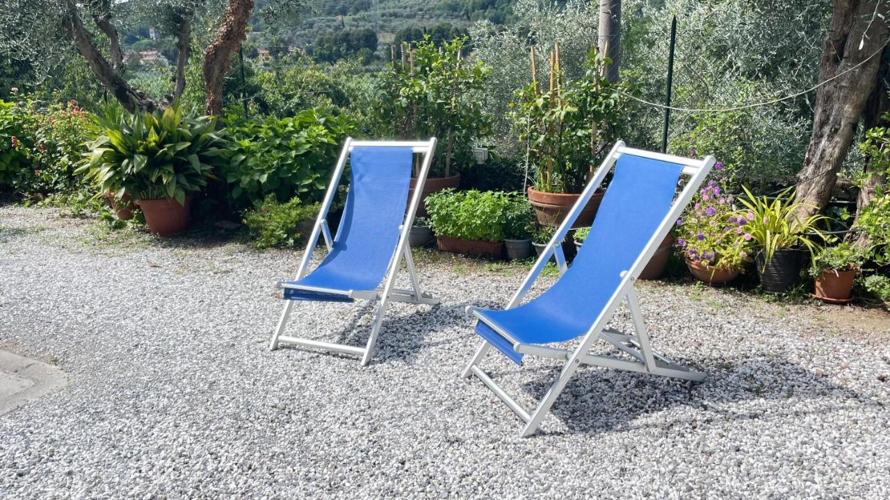 Tra Gli Olivi Appartement Lucca Buitenkant foto