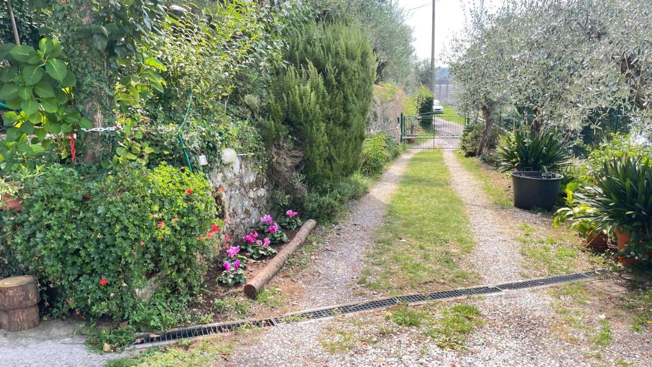 Tra Gli Olivi Appartement Lucca Buitenkant foto